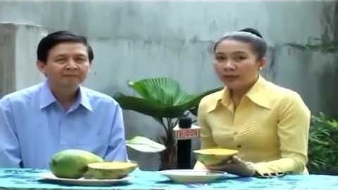 Chữa rắn độc cắn bằng quả đu đủ