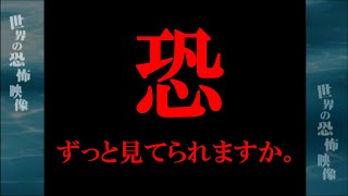 心霊映像！ガチで呪われた樹海ツアー！心霊スクープ怖いベスト396