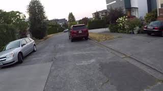 Longboard, Flexdex Pro 40 Kelly Slater Edition, Aera Trucks 164mm 46 Degree baseplate, Powell Snake