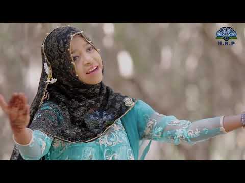 nice-islamic-song