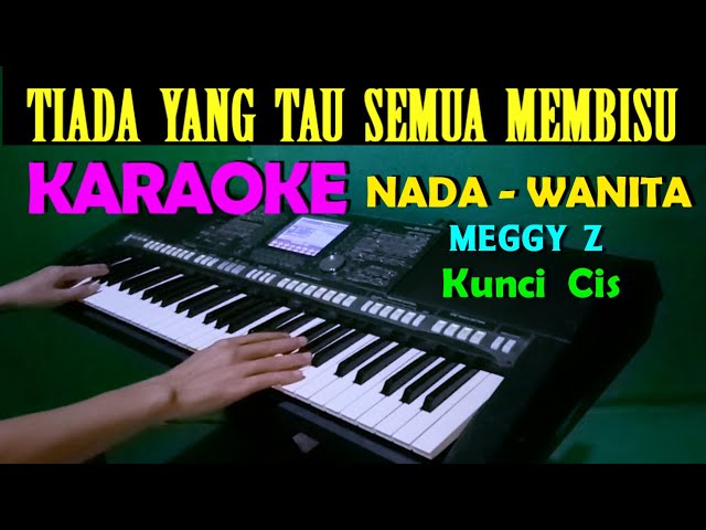 HATI YANG LUKA DANGDUT - Meggy Z | KARAOKE Nada Wanita class=