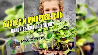 БИЗНЕС И МИКРОЗЕЛЕНЬ | МИКРОЗЕЛЕНЬ ДОМА | ЗАРАБАТЫВАЕМ ДЕНЬГИ | СКОЛЬКО МОЖНО ЗАРАБОТАТЬ НА ОКНЕ