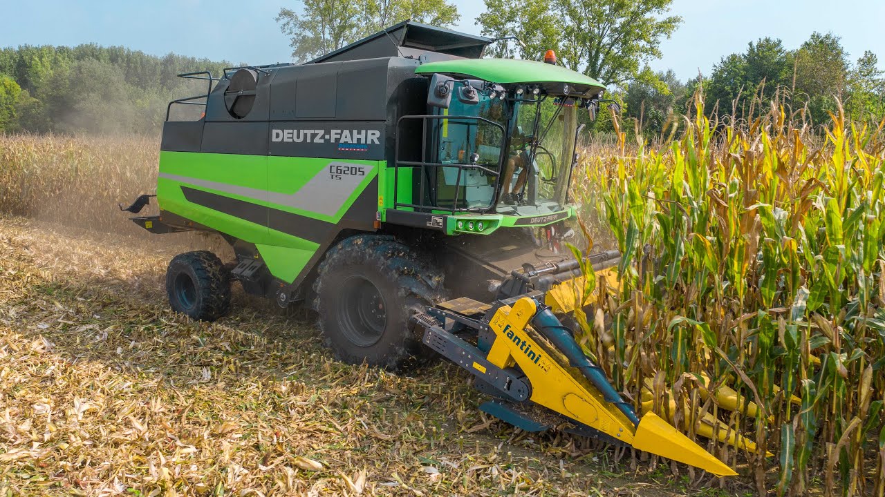 Deutz Fahr C6205 TS + Fantini 6 file | Trebbiatura Mais 🌽