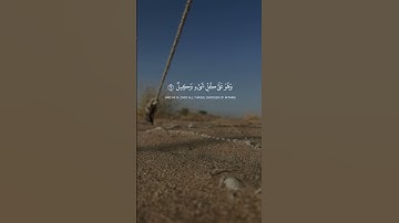 تلاوة للشيخ عبد البديع غيلان