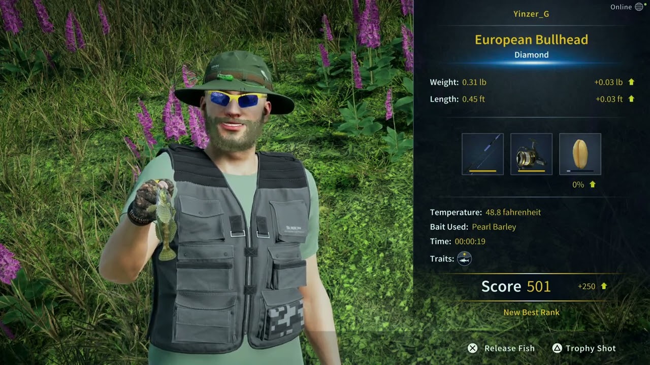 European Bullhead Fishing Guide 