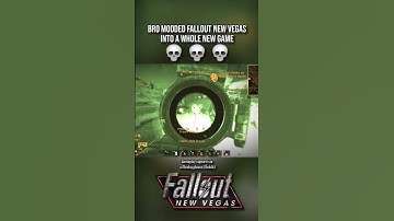 Fallout New Vegas with Mods be like...