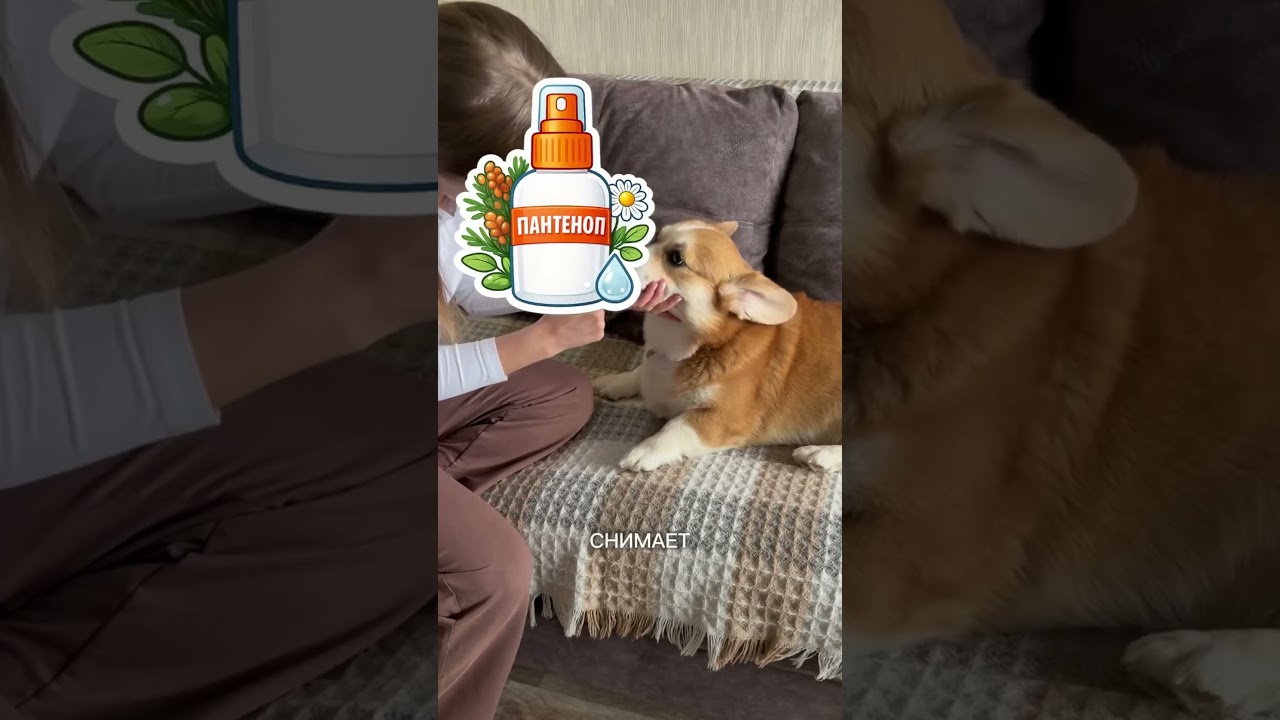 Наш зубной гель брали на ВБ, арт.: 