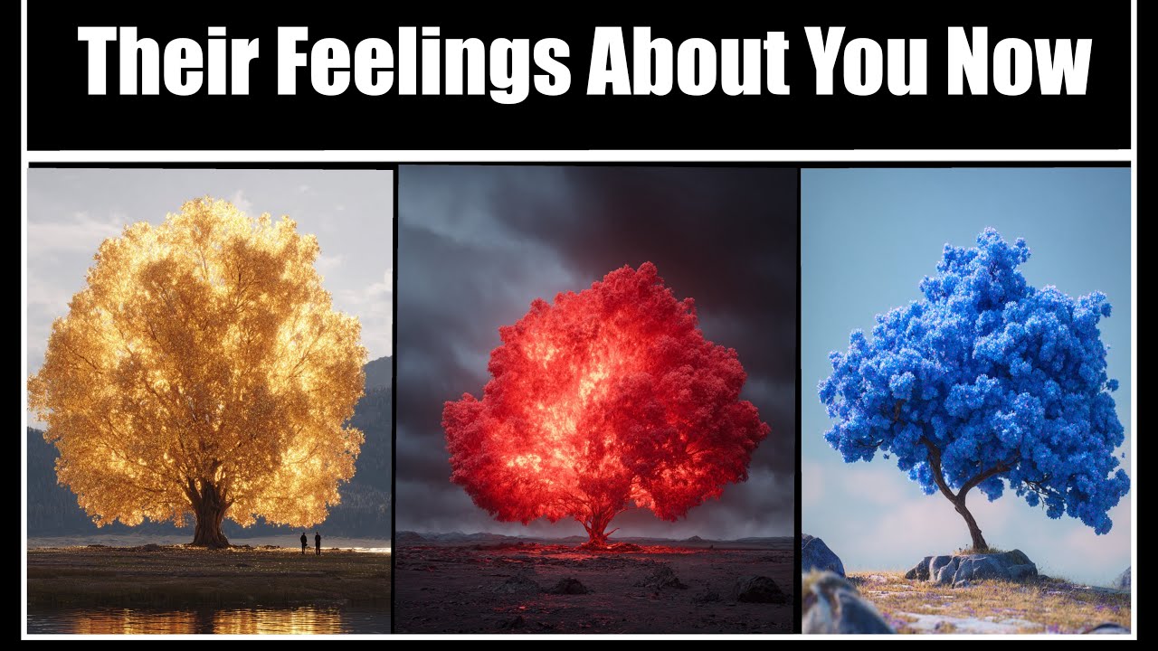 The Person On Your Mind | Their Feelings For You ❤️ Pick A Card Timeless Psychic Reading 