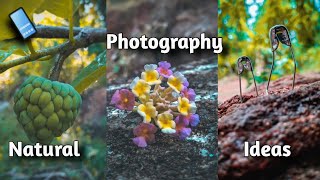 Top3 Natural photography ideas | Home photography #photography #photooftheday #photo #viralvideo .