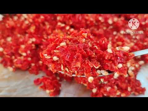 أهل غزة عشاق الفلفل الاحمر ما راح تصدقوا كيف جهزت الهريسة بخيمة النزوح