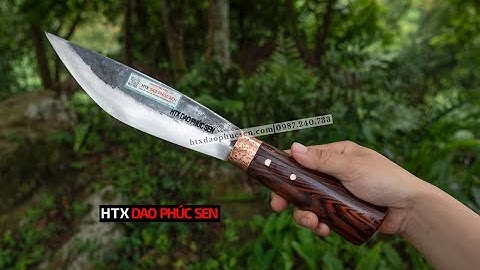MÈO MUN 20 - NGƯỜI BẠN CHO MỌI CHUYẾN ĐI - HÀNG CHUẨN HTX DAO PHÚC SEN