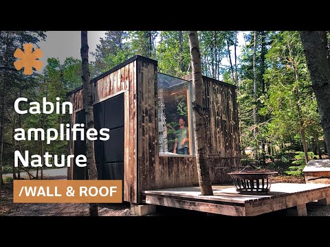 Video: Tempat Tidur Boreal