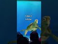 Turtle Talk With Crush | Do Turtles Breathe Out Their Butts?