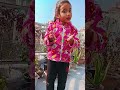 Gyan jyada jaruri hai ya FIR paisa #reel #funny