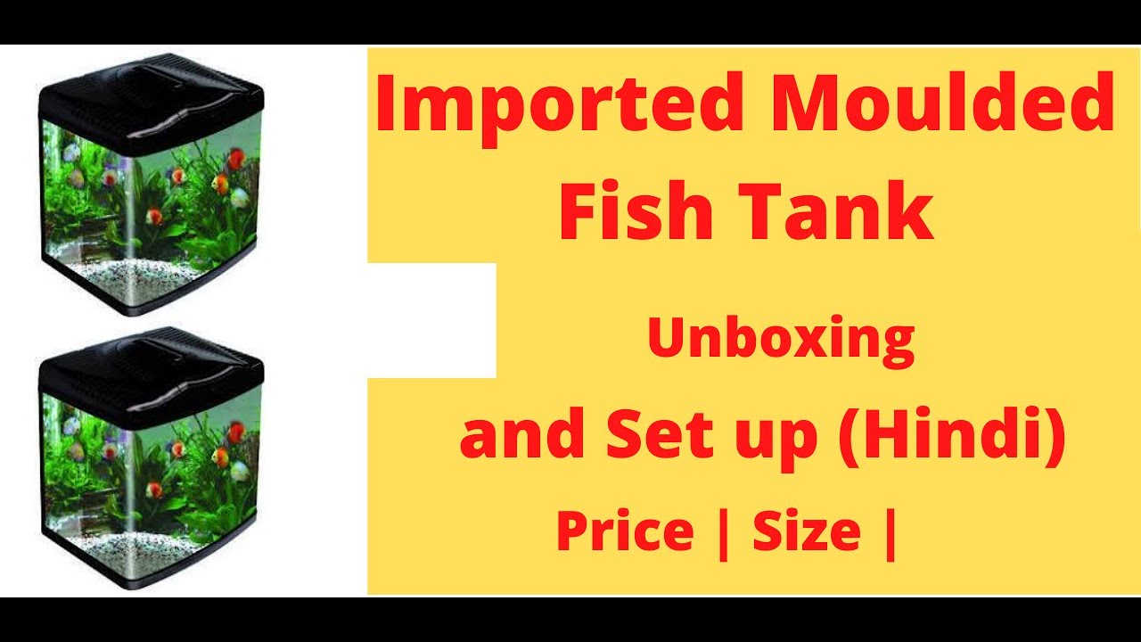 Sea Star Hx 380f Chinese Fish Tank Setup Imported Moulded Fish Tank Setup Chinese Fish Tank Setup Youtube