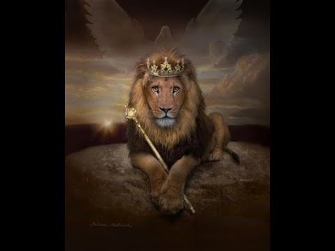 zoom 1   \"ჩემი ოთხფეხა მეგობარი\"