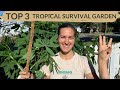 3 tropical survival foods you must plant in florida