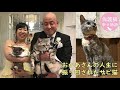沖縄から札幌へ　海を越えて譲渡されたサビ猫　お母さんの人生に振り回され5回もお引越し　ナレーション付【保護猫幸せ物語】#34 Foster cat`s happy story
