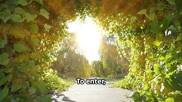 Unlocking the Secrets of the Akashic Records | A Guide to Accessing Universal Knowledge