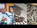 Amfanin Yayan Bagaruwa A Jikin Dan Adam Dr Isah Ali Pantami 