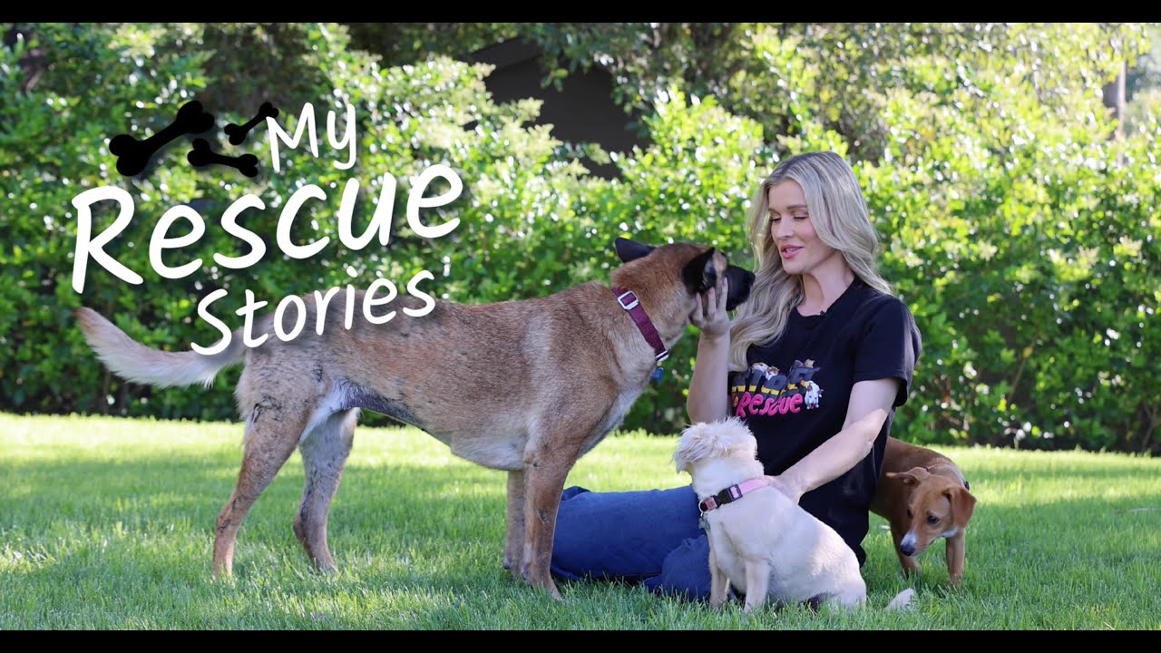 The Rescue Stories That Changed Joanna Krupa Forever | Street Rescue Special