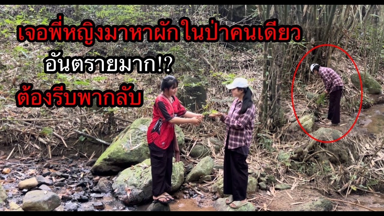 ตกใจสุดๆ!!เจอพี่หญิงมาหาผักในป่าลึกคนเดียวอันตรายมากต้องรีบพากันกลับบ้านเพราะ.??