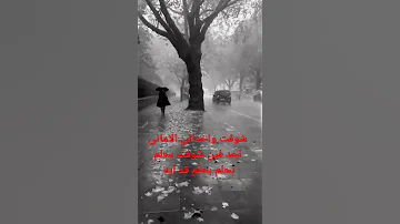 عبد الحليم حافظ شوفت واخدانى الأمانة لحد فين شوفت بحلم بحلم بحلم قد ايه 