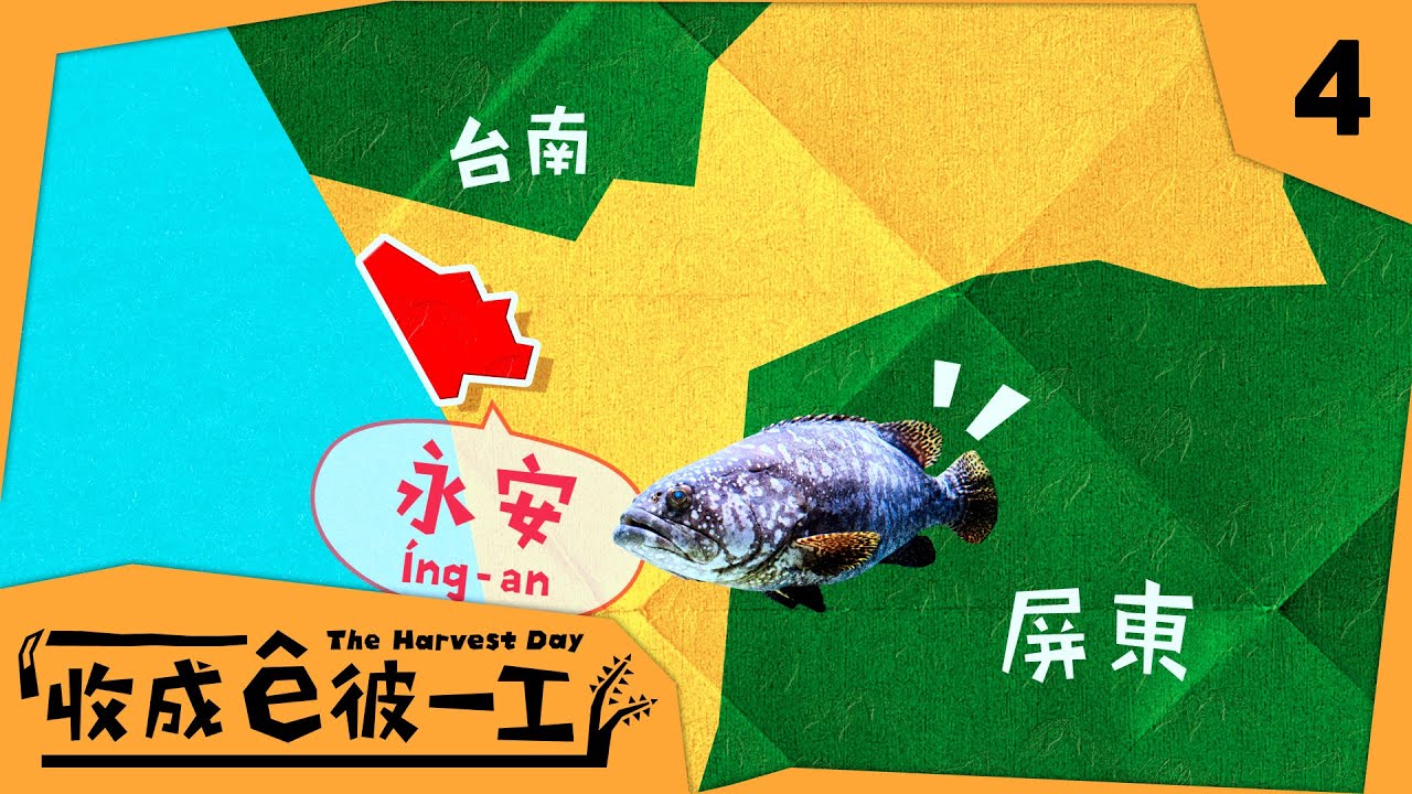 《收成ê彼一工》EP4 ｜高雄永安ê石斑