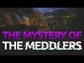 The mystery of the Meddlers - Halo's secret species