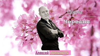 ✬ Алексей Романюта - Цвела Черешня ✬ ПРЕМЬЕРА 2024