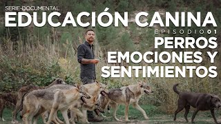 EDUCACIÓN CANINA E01 (SerieDocumental) | ´PERROS, EMOCIONES Y SENTIMIENTOS`.