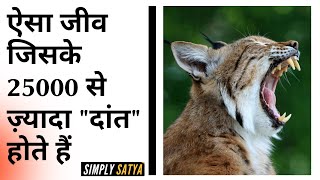 Amazing Facts in Hindi | रोचक तथ्य | Rochak Tathya | Interesting Facts | आश्चर्यजनक तथ्य SIMPLYSATYA