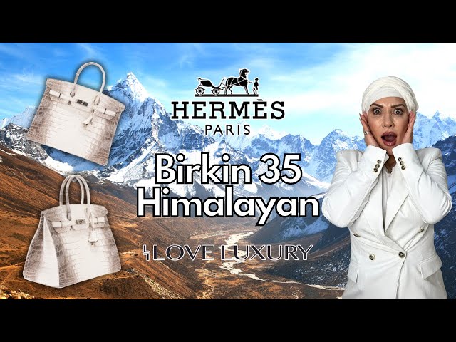 hermes birkin himalayan bag