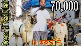 Deonar Mandi Jaise Bakre Mumbra Bakra Mandi Mai - Batisa Breed Available