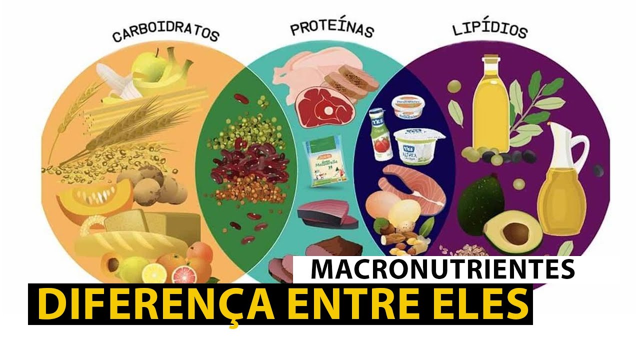 CARBOIDRATO, GORDURA E PROTEINA, qual diferença entre esses três? - YouTube
