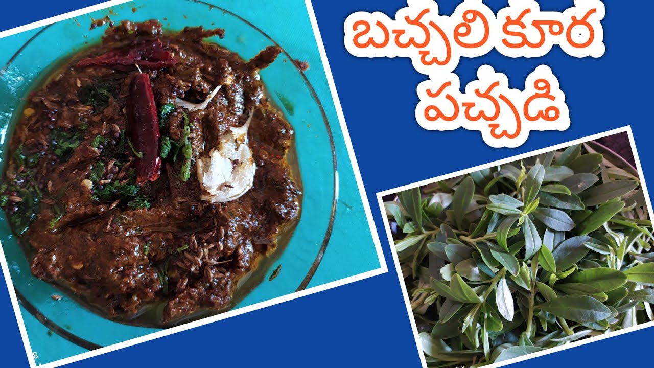 బచ్చలి కూర పచ్చడి in తెలుగు।। Malabar spinach chutney in telugu ।। చాలా రుచిగా ।। YouTube