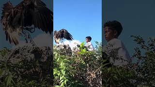 Flying In Joy Together The Eagle And The Children Share A Beautiful Moment