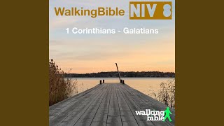2 Corinthians 3:17