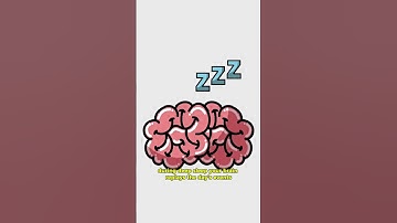 Sleep = Memory? The Science Explained in 30 Seconds #neurobytes #facts