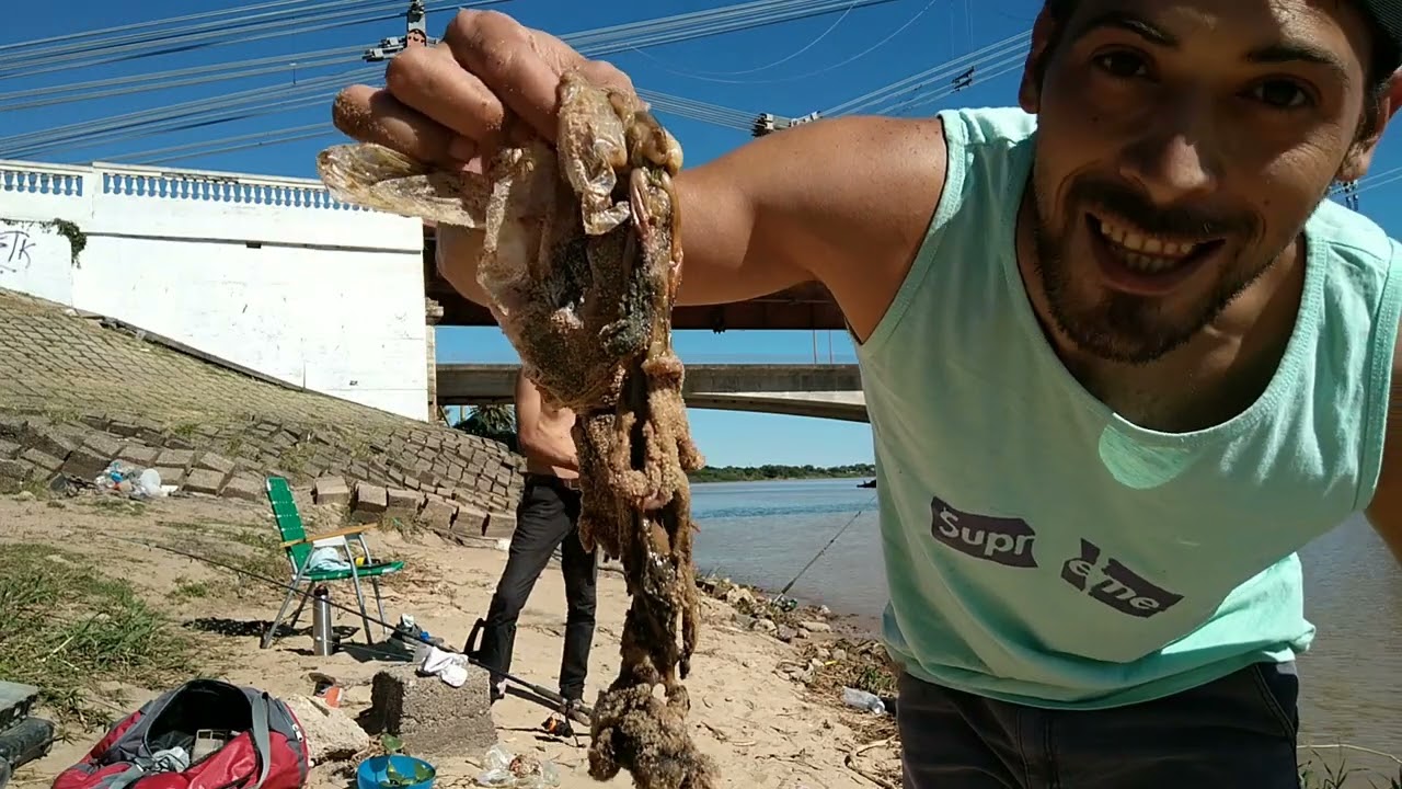 Pesca de dorados tarariras y variada en la costanera de santa fe abajo del puente colgante. #pesca