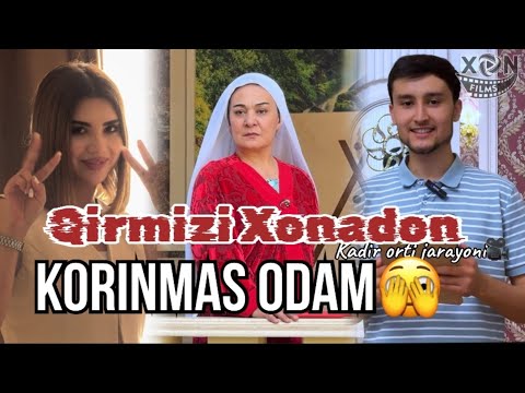 Katta mushuk yakkaxon yaqindan