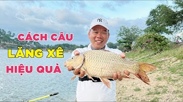 Cách Câu Cá Lăng Xê Hiệu Quả Ở Hồ Tự Nhiên Và Bán Tự Nhiên | Chung Nguyễn Fishing