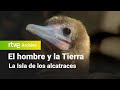 El hombre y la Tierra: Capítulo 16 - La isla de los alcatraces | RTVE Archivo