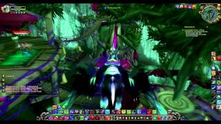 World Of Warcraft Miniwing Companion