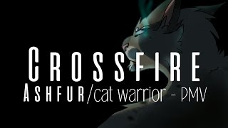 CROSSFIRE ~ Ashfur PMV (Drawings by Croway)