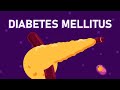 What is Diabetes Mellitus? - Understanding Diabetes - Diabetes Type 1 and Type 2