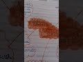 mind map of english ch2 with #art and craft