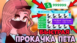 КАК БЫСТРО ПРОКАЧАТЬ ПЕТА в АДОПТ МИ  - ЛЕГКО  - РАБОЧИЙ СПОСОБ 100% в ADOPT ME