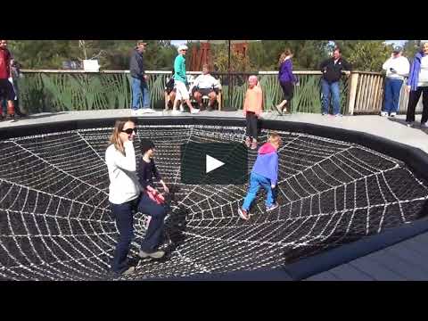 Are Springfree Trampolines Worth The Money - Top Trampoline