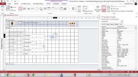 Adding Form Controls Save Delete | MS Access Database 23